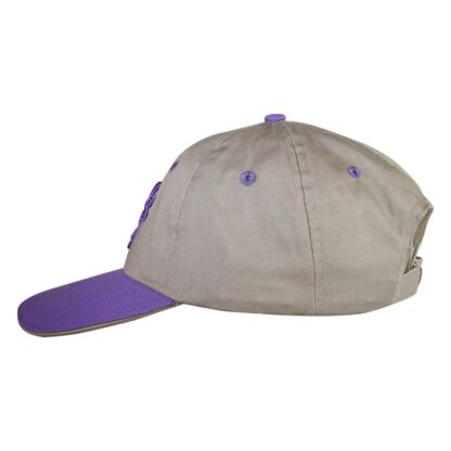 IT'S A DOGS LIFE CAP GREY/PURPLE - Image 2