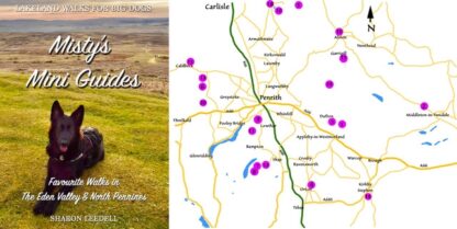 LAKELAND WALKS FOR BIG DOGS EDEN VALLEY & NORTH PENNINES - Image 2