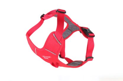 MOUNTAIN PAWS DOG HARNESS RED - Image 2