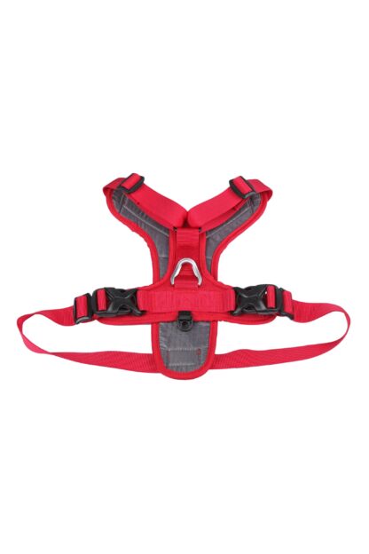 MOUNTAIN PAWS DOG HARNESS RED - Image 4