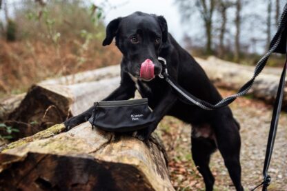 MOUNTAIN PAWS COLLAPSIBLE DOG FOOD BOWL BLACK - Image 3