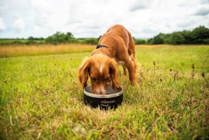 MOUNTAIN PAWS BASECAMP DOG BOWL - Image 2